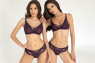 line HYPNOSE in dark violet; ?> preview